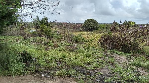 Terreno em Arembepe Abrantes